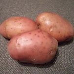 Картошка сорта Манифест