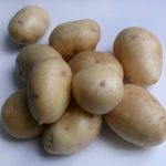 Клубни картофеля сорта Невского