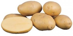 Клубни картофеля сорта Одиссей