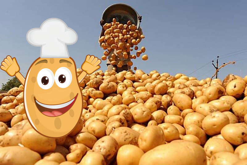 17 лучших рассыпчатых сортов картофеля с белой и желтой мякостью + фото