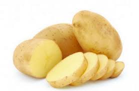 Картофель сорта Уладар