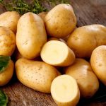 Клубни картофеля сорта Уральский ранний