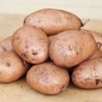 Клубни картофеля Жуковский ранний
