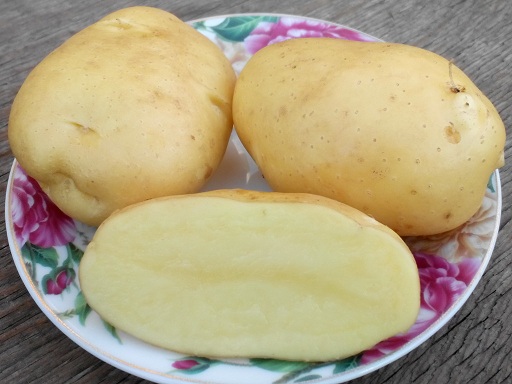 Приготовление сорта картофеля Дельфин
