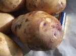 Клубни картофеля