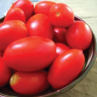 Плоды томата Аделина