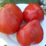 Спелые томаты сорта Бычье сердце