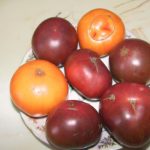 Микадо оранжевая и черная
