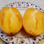 Сорт томата Минусинские стаканы оранжевые