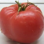 Плод томата Сибирские шагньги