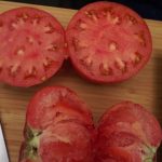 Сорт томата Сибирские шаньги в разрезе