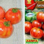 Семена и плоды томатов