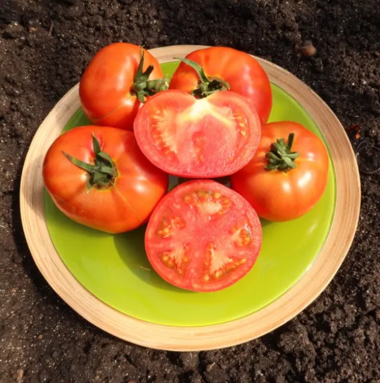 томат сорта сибирская гирлянда в разрезе