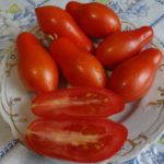 Сорт томата Сибирский пируэ