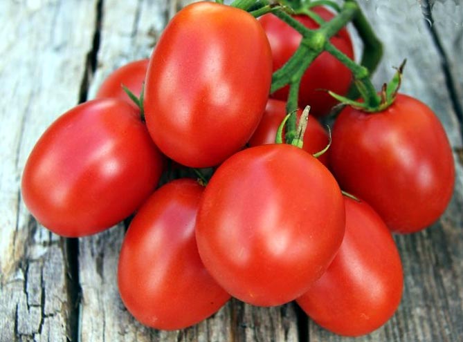 Зрелые томаты красные