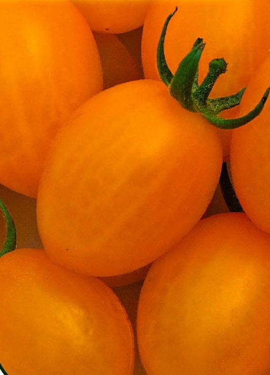 Спелые плоды томата Де Барао оранжевый