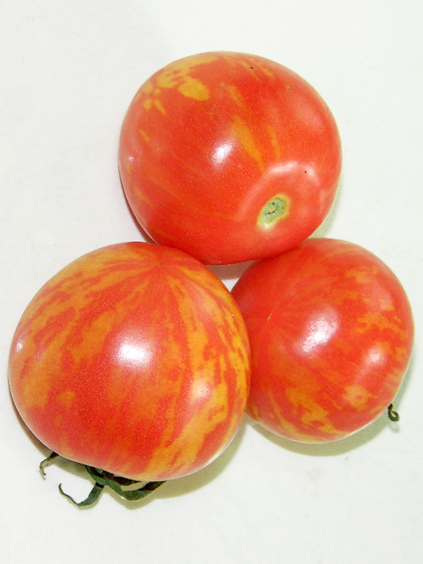 Полосатые томаты Де Барао