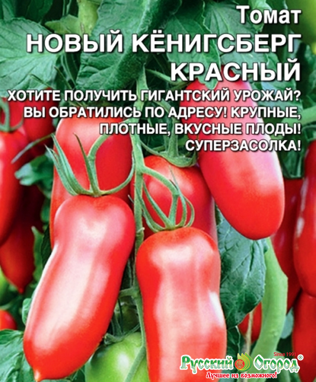 Красный сорт томата Кенигсберг