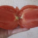 Сорт томата Кенигсберг сердцевидный в разрезе