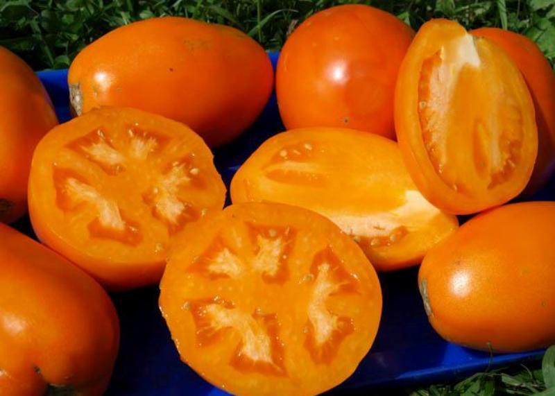 Разрезанные плоды оранжевых томтов