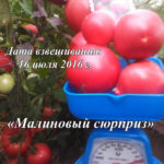 Весы томата Малиновый сюрприз