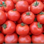 Урожай томатов сорта Малиновый сюрприз