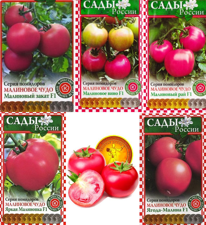 Томат Малиновый король: описание сорта, характеристики и отзывы - Выращивание помидоров