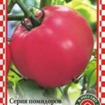 Семена томата Яркая малиновка