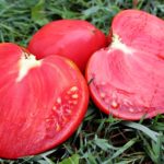 Разрезанные томаты