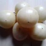 Плоды томата сорта Микадо белого