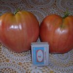 Крупные томаты Воловье сердце