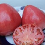 Сочные розовые томаты