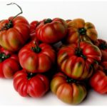 Помидоры томаты Костолуто Дженовесе