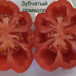 Сорт Gezahnte Tomate Buhrer-Keel в разрезе