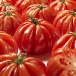 Красные томаты сорта Лотарингская красавица