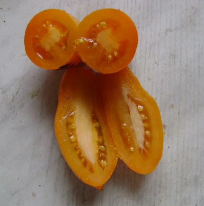 Сорт Мидас плод в разрезе