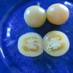 Белые томаты