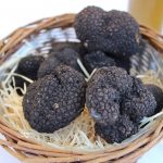 Трюфель Лотарингия