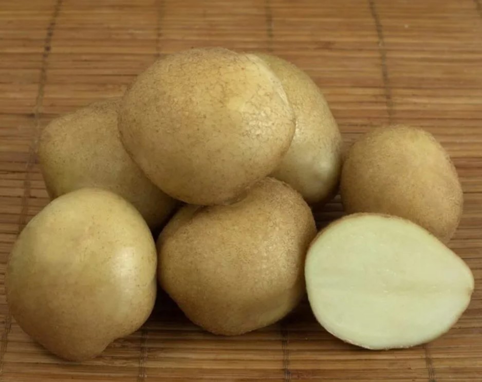 Сорт картофеля Голубизна: 25+ фото, описание, отзывы, сравнение