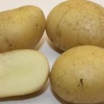 Клубни картофеля сорта Голубизна