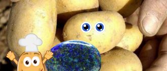 Камень и картофель Лазурит