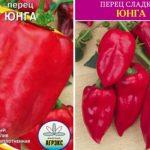 Семена перца сорта Юнга
