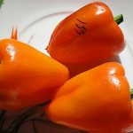 Три перца сорта Оранжевый красавец