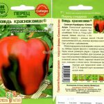 Пачка семян с описанием сорта