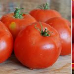 Ультраскороспелый томат плоды и семена