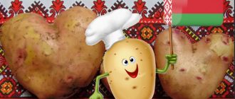 Картофель из Белоруссии
