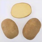 Сорт картофеля Фальварак в разрезе