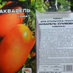 Пачка семян томата Акварель