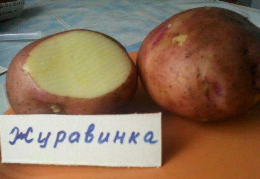 Картофель Журавинка